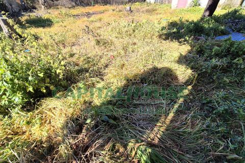 Terra a Marcianise, Caserta, Marcianise - € 59.000 | Ref: 59MR35 - foto 3
