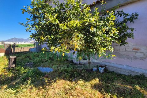 Terra a Marcianise, Caserta, Marcianise - € 59.000 | Ref: 59MR35 - foto 4