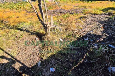 Terra a Marcianise, Caserta, Marcianise - € 59.000 | Ref: 59MR35 - foto 5