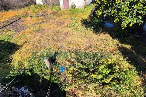Terra a Marcianise, Caserta, Marcianise - € 59.000 | Ref: 59MR35 - foto 10