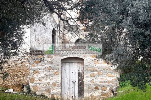 Villa i Vasto, Chieti, Vasto - € 180.000 | Ref: VA0525 - foto 3