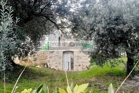 Villa i Vasto, Chieti, Vasto - € 180.000 | Ref: VA0525 - foto 4