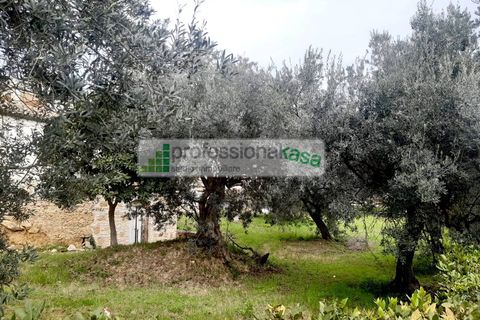 Villa i Vasto, Chieti, Vasto - € 180.000 | Ref: VA0525 - foto 6