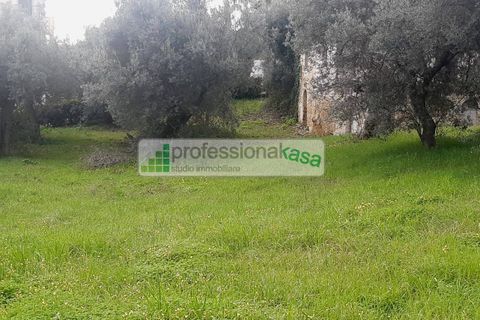 Villa i Vasto, Chieti, Vasto - € 180.000 | Ref: VA0525 - foto 16