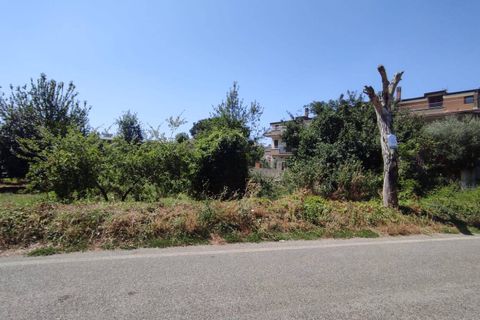 Helårsgrund i Caserta, Caserta, Caserta - € 160.000 | Ref: 45 - foto 6
