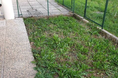 Apartament a Monfalcone, Gorizia, Monfalcone - € 500/mes | Ref: 27 - foto 10