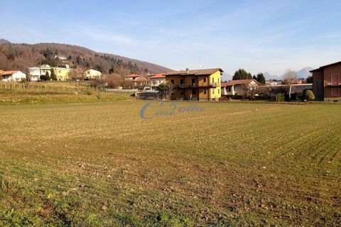 Terra a Albavilla, Como, Albavilla - € 395.000 | Ref: 1015 - foto 2