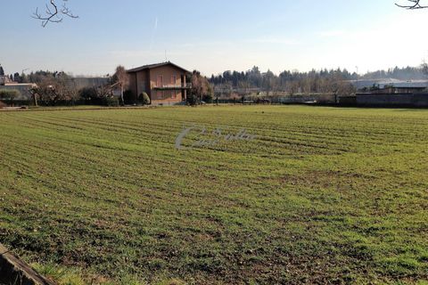 Terra a Albavilla, Como, Albavilla - € 395.000 | Ref: 1015 - foto 3