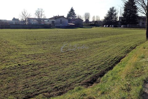 Terra a Albavilla, Como, Albavilla - € 395.000 | Ref: 1015 - foto 4
