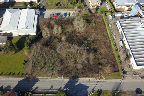 Terra a Cantu, Como, Cantu - € 460.000 | Ref: L711 - foto 4