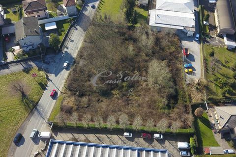 Terra a Cantu, Como, Cantu - € 460.000 | Ref: L711 - foto 6