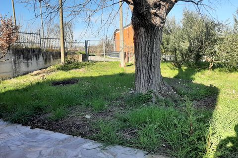 Villa a Cartoceto, Pesaro and Urbino, Cartoceto - € 450.000 | Ref: A/360 - foto 22