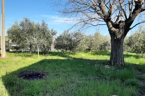 Villa a Cartoceto, Pesaro and Urbino, Cartoceto - € 450.000 | Ref: A/360 - foto 23