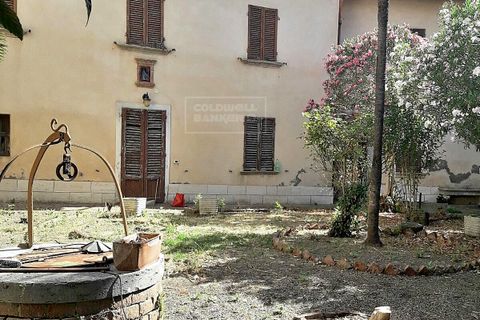 Erhvervsejendom i Sinalunga, Siena, Sinalunga - € 99.000 | Ref: proprietà con giardino - foto 13