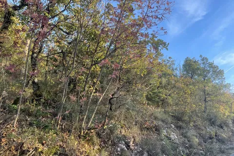 Terra a Spoleto, Perugia, Spoleto - € 72.000 | Ref: CBI057-315-30288 - foto 2