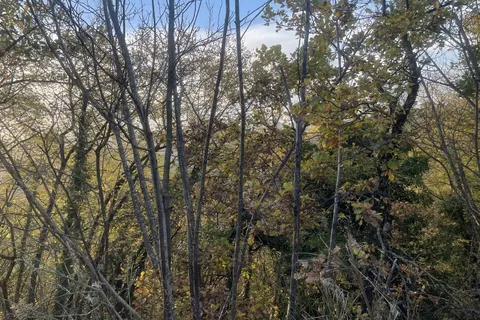Terra a Spoleto, Perugia, Spoleto - € 72.000 | Ref: CBI057-315-30288 - foto 4