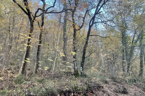 Terra a Spoleto, Perugia, Spoleto - € 72.000 | Ref: CBI057-315-30288 - foto 5
