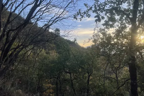 Terra a Spoleto, Perugia, Spoleto - € 72.000 | Ref: CBI057-315-30288 - foto 6