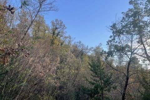 Terra a Spoleto, Perugia, Spoleto - € 72.000 | Ref: CBI057-315-30288 - foto 8