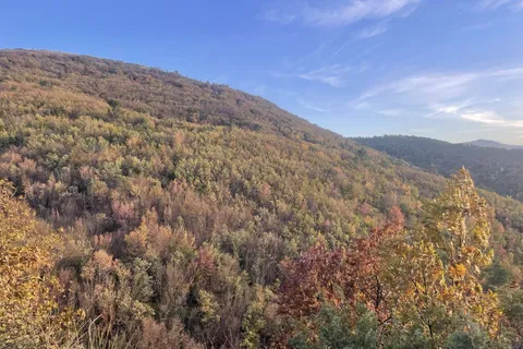 Terra a Spoleto, Perugia, Spoleto - € 72.000 | Ref: CBI057-315-30288 - foto 17