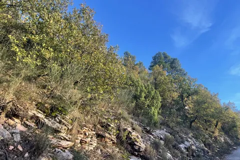 Terra a Spoleto, Perugia, Spoleto - € 72.000 | Ref: CBI057-315-30288 - foto 18