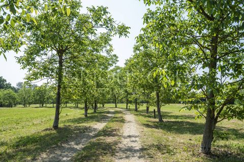 Villa a Gazzola, Piacenza, Gazzola - € 1.150.000 | Ref: 2745 - foto 9