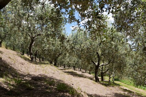 Villa a Massarosa, Lucca, Massarosa - € 1.950.000 | Ref: 636 - foto 12