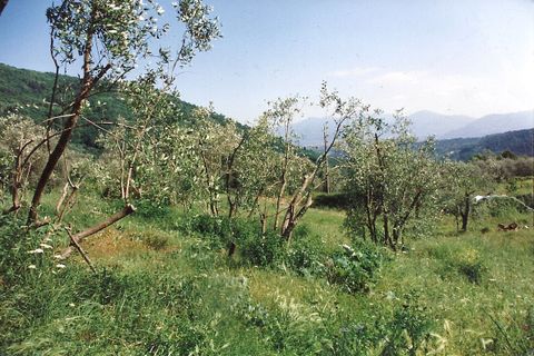 Landejendom i Lucca, Lucca, Lucca - € 290.000 | Ref: 701 - foto 6