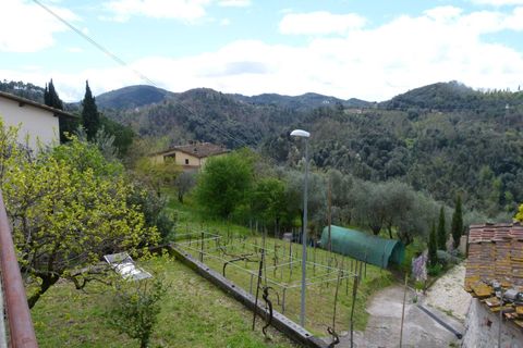 Villa a Camaiore, Lucca - foto 1
