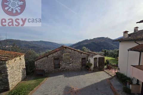 Villa a Camaiore, Lucca, Camaiore - € 105.000 | Ref: 1123 - foto 16