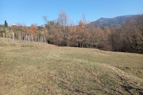 Landejendom i Lucca, Lucca, Lucca - € 380.000 | Ref: 1141 - foto 15
