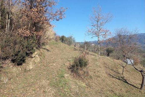 Landejendom i Lucca, Lucca, Lucca - € 380.000 | Ref: 1141 - foto 20