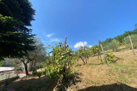 Landejendom i Lucca, Lucca, Lucca - € 380.000 | Ref: 1141 - foto 22