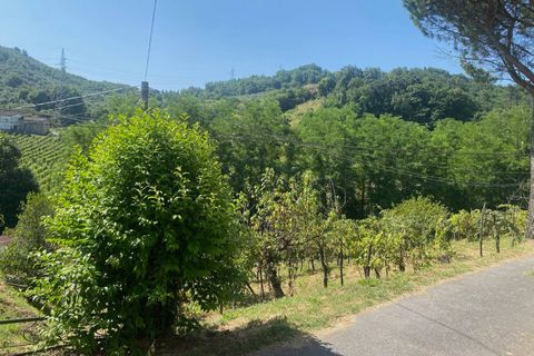 Landejendom i Lucca, Lucca, Lucca - € 380.000 | Ref: 1141 - foto 29