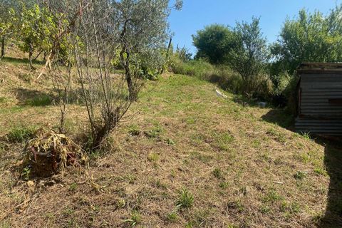 Landejendom i Lucca, Lucca, Lucca - € 380.000 | Ref: 1141 - foto 33