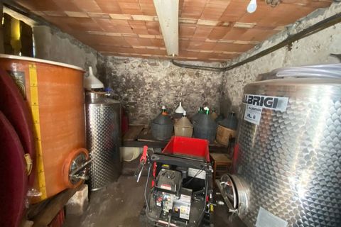 Landejendom i Lucca, Lucca, Lucca - € 380.000 | Ref: 1141 - foto 35
