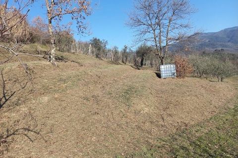 Landejendom i Lucca, Lucca, Lucca - € 380.000 | Ref: 1141 - foto 37