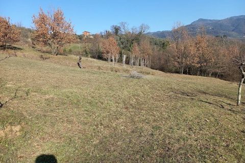 Landejendom i Lucca, Lucca, Lucca - € 380.000 | Ref: 1141 - foto 38
