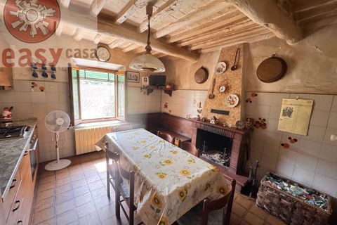 Landejendom i Lucca, Lucca, Lucca - € 380.000 | Ref: 1141 - foto 4