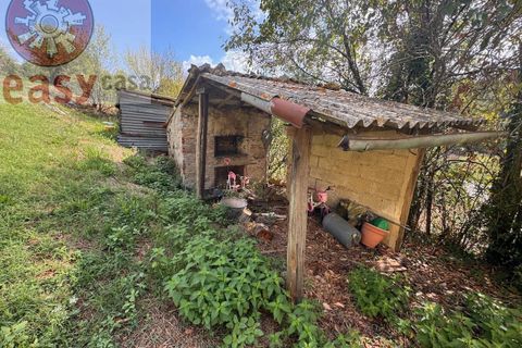 Landejendom i Lucca, Lucca, Lucca - € 380.000 | Ref: 1141 - foto 31
