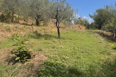 Landejendom i Lucca, Lucca, Lucca - € 380.000 | Ref: 1141 - foto 41