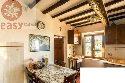 Landejendom i Camaiore, Lucca, Camaiore - € 800.000 | Ref: 1184 - foto 7
