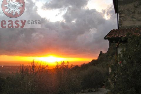 Landejendom i Camaiore, Lucca, Camaiore - € 800.000 | Ref: 1184 - foto 16