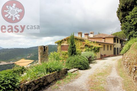 Landejendom i Lucca, Lucca, Lucca - € 2.500.000 | Ref: 1220 - foto 9