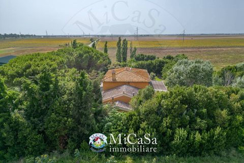 Villa i Collesalvetti, Livorno, Collesalvetti - € 649.000 | Ref: 2448 - foto 39