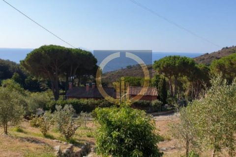 Villa i Campo Nell'Elba, Livorno, Campo Nell'Elba - € 1.480.000 | Ref: 78 - foto 23