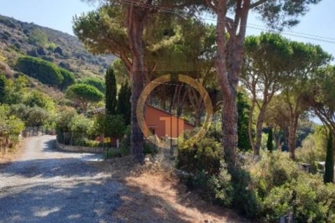 Villa i Campo Nell'Elba, Livorno, Campo Nell'Elba - € 1.480.000 | Ref: 78 - foto 24