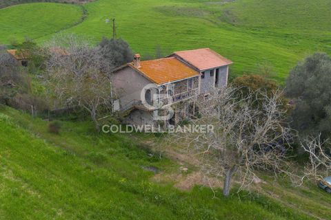 Landejendom i Tuscania, Viterbo, Tuscania - € 215.000 | Ref: CBI018-703-43691 - foto 2