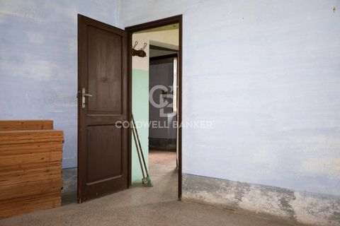 Landejendom i Tuscania, Viterbo, Tuscania - € 215.000 | Ref: CBI018-703-43691 - foto 12