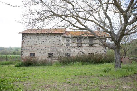 Landejendom i Tuscania, Viterbo, Tuscania - € 215.000 | Ref: CBI018-703-43691 - foto 23
